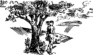 Дикая собака Динго, или Повесть о первой любви - i_026.png