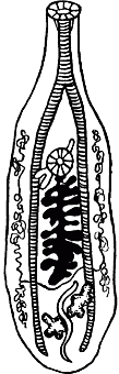 Ветеринарный справочник для владельцев кошек - i_068.png