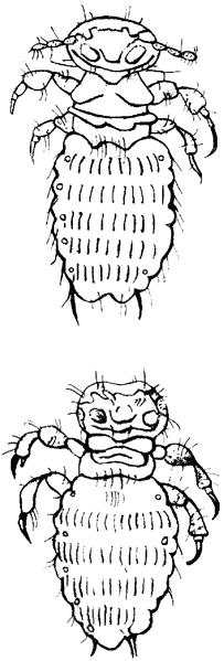 Ветеринарный справочник для владельцев кошек - i_072.png