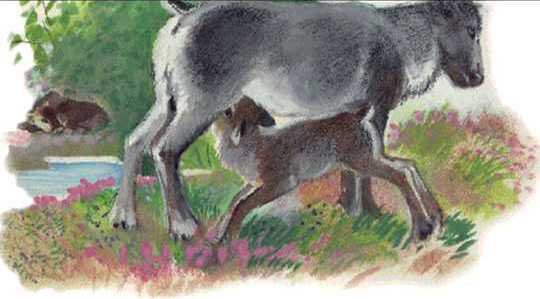 Азбука живой природы - i_013.jpg
