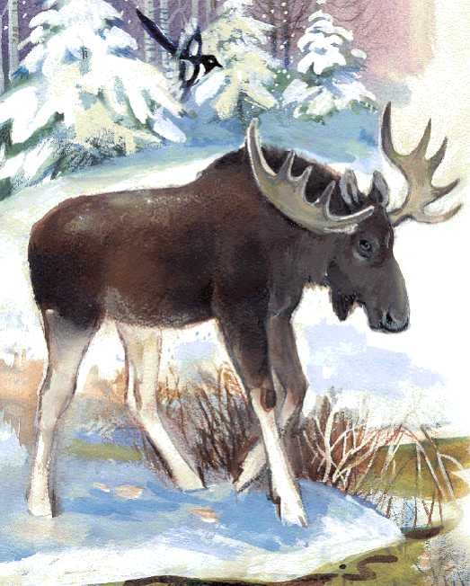 Азбука живой природы - i_040.jpg