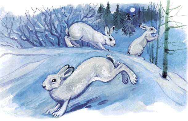 Азбука живой природы - i_045.jpg