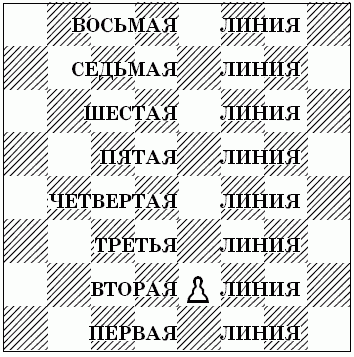 Шахматы для самых маленьких - i_133.png