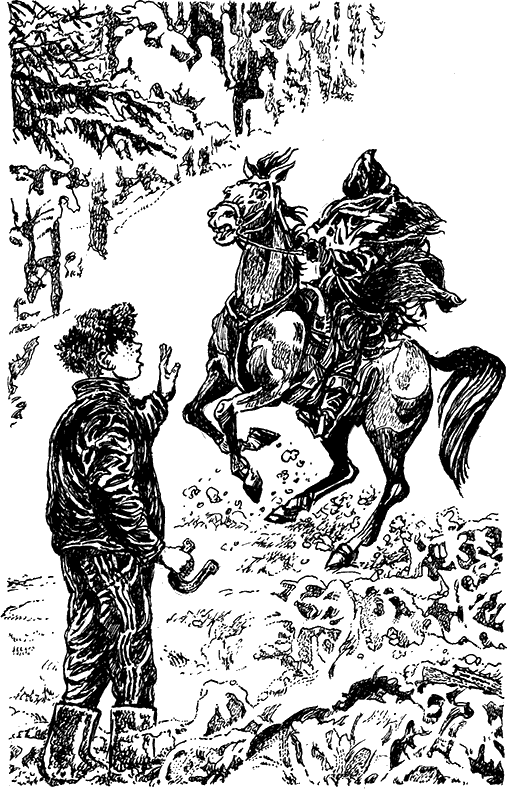 Всадники проклятого леса - i_004.png