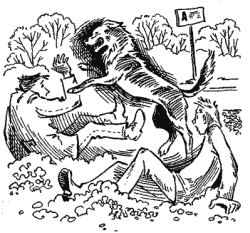 Мухтар - i_001.png