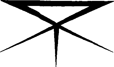 Острие Кунты. Путь русского мистика - i_008.png