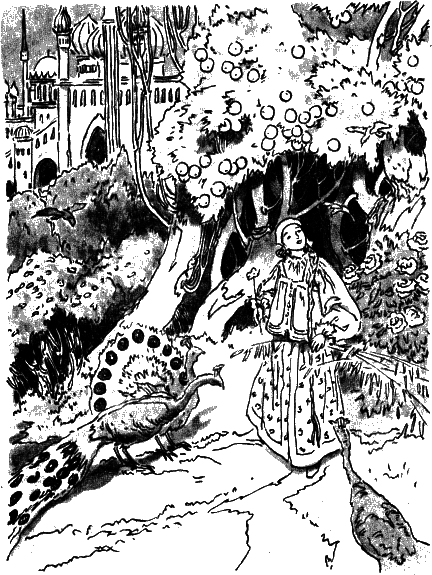 Аленький цветочек - i_006.png