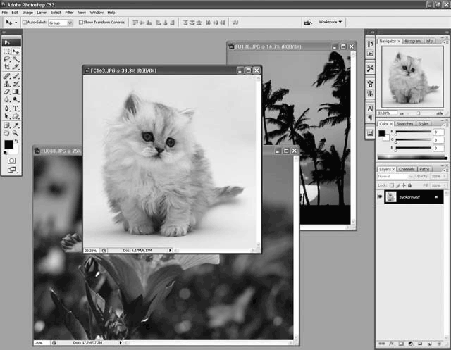 Adobe Photoshop CS3 - i_026.png