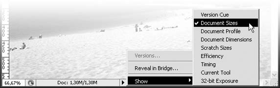 Adobe Photoshop CS3 - i_036.png