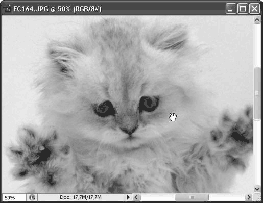 Adobe Photoshop CS3 - i_051.png