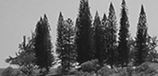 Adobe Photoshop CS3 - i_081.jpg