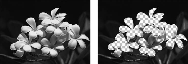 Adobe Photoshop CS3 - i_091.jpg