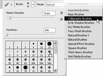 Adobe Photoshop CS3 - i_120.png
