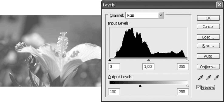 Adobe Photoshop CS3 - i_164.png