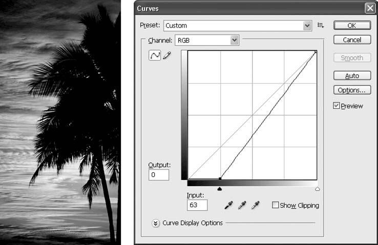 Adobe Photoshop CS3 - i_168.png