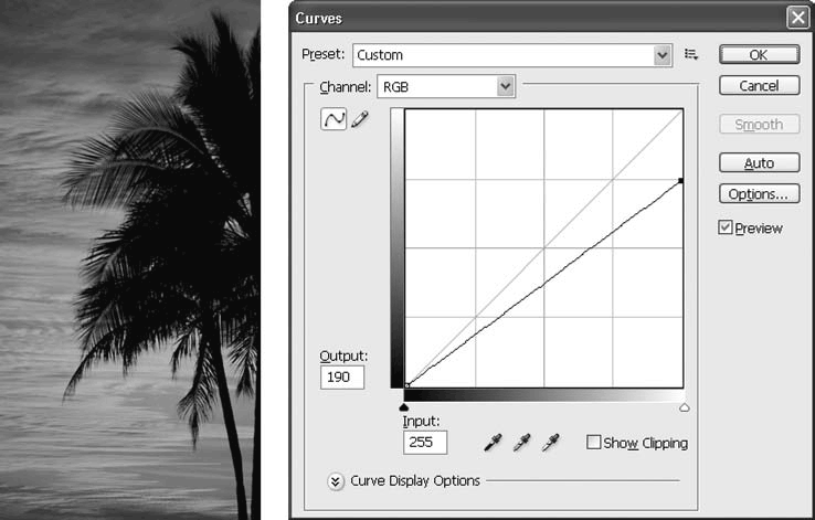 Adobe Photoshop CS3 - i_169.png