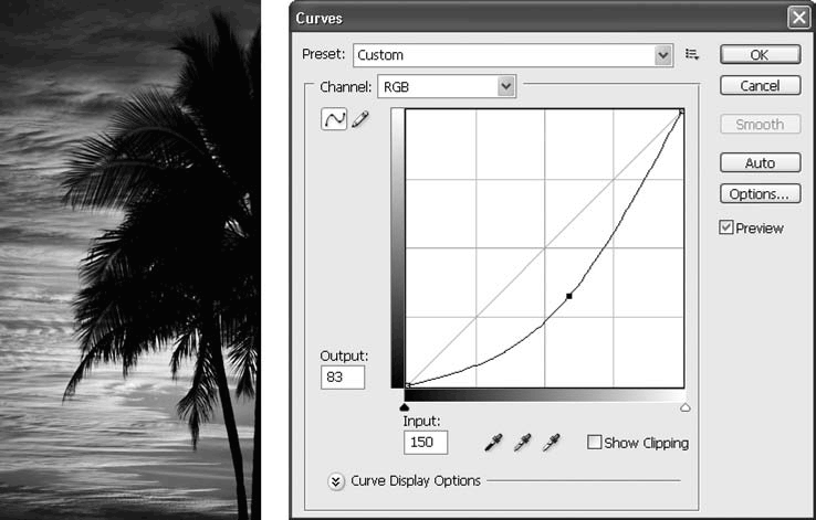 Adobe Photoshop CS3 - i_170.png