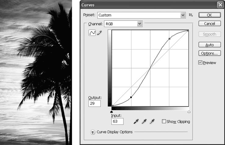 Adobe Photoshop CS3 - i_171.png