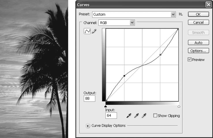 Adobe Photoshop CS3 - i_172.png