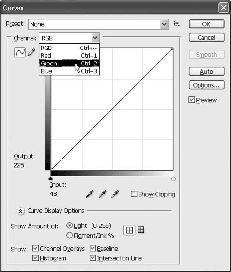 Adobe Photoshop CS3 - i_173.png