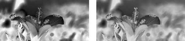 Adobe Photoshop CS3 - i_195.jpg