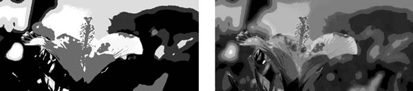 Adobe Photoshop CS3 - i_197.jpg