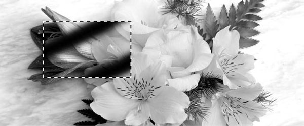 Adobe Photoshop CS3 - i_200.jpg