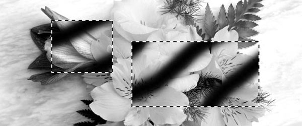 Adobe Photoshop CS3 - i_202.jpg