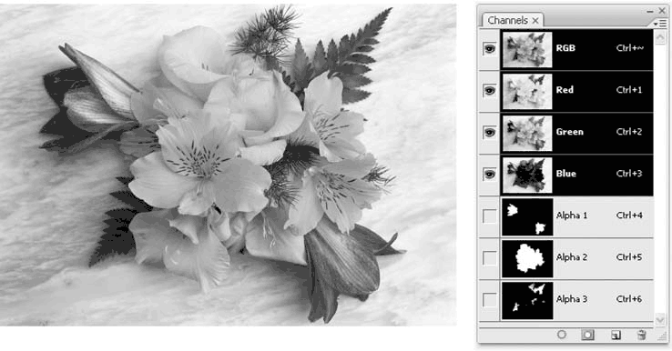 Adobe Photoshop CS3 - i_229.png