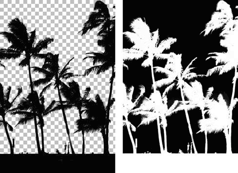 Adobe Photoshop CS3 - i_273.png