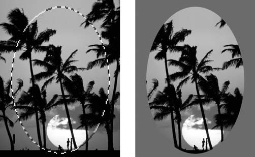 Adobe Photoshop CS3 - i_275.jpg
