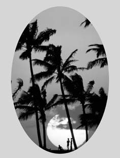 Adobe Photoshop CS3 - i_276.jpg
